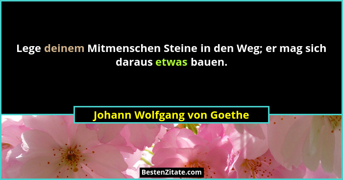 Lege deinem Mitmenschen Steine in den Weg; er mag sich daraus etwas bauen.... - Johann Wolfgang von Goethe