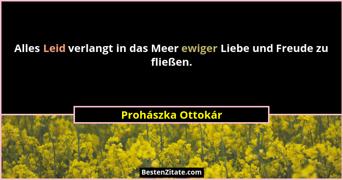 Alles Leid verlangt in das Meer ewiger Liebe und Freude zu fließen.... - Prohászka Ottokár