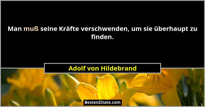 Man muß seine Kräfte verschwenden, um sie überhaupt zu finden.... - Adolf von Hildebrand