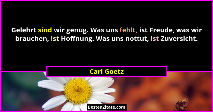 Gelehrt sind wir genug. Was uns fehlt, ist Freude, was wir brauchen, ist Hoffnung. Was uns nottut, ist Zuversicht.... - Carl Goetz