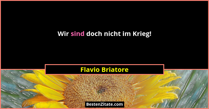 Wir sind doch nicht im Krieg!... - Flavio Briatore