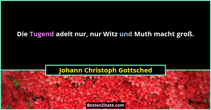 Die Tugend adelt nur, nur Witz und Muth macht groß.... - Johann Christoph Gottsched