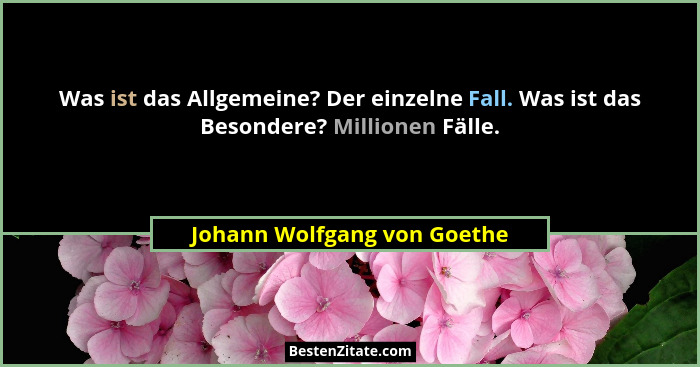 Was ist das Allgemeine? Der einzelne Fall. Was ist das Besondere? Millionen Fälle.... - Johann Wolfgang von Goethe