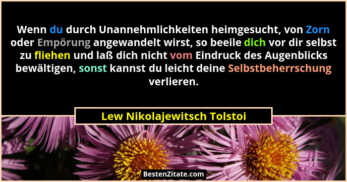 Wenn du durch Unannehmlichkeiten heimgesucht, von Zorn oder Empörung angewandelt wirst, so beeile dich vor dir selbst zu... - Lew Nikolajewitsch Tolstoi
