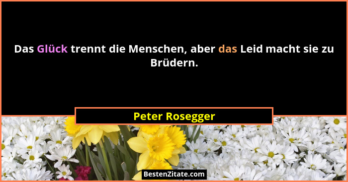 Das Glück trennt die Menschen, aber das Leid macht sie zu Brüdern.... - Peter Rosegger