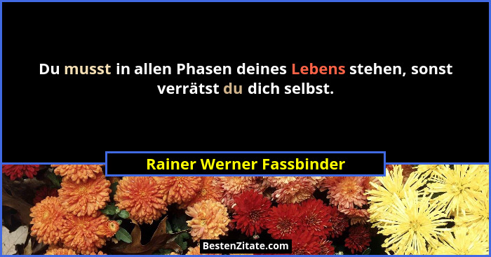 Du musst in allen Phasen deines Lebens stehen, sonst verrätst du dich selbst.... - Rainer Werner Fassbinder
