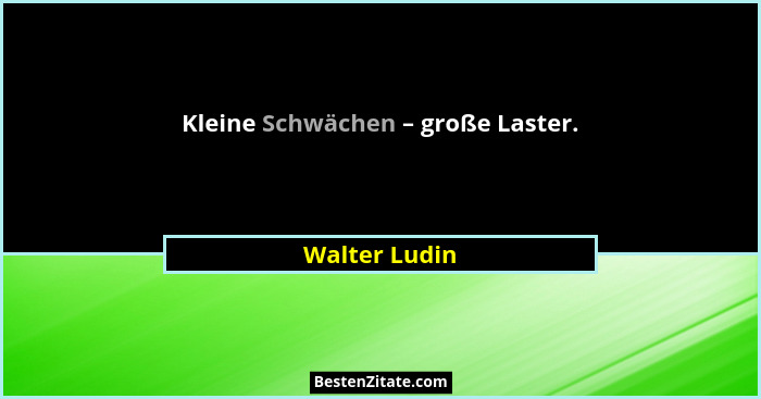 Kleine Schwächen – große Laster.... - Walter Ludin