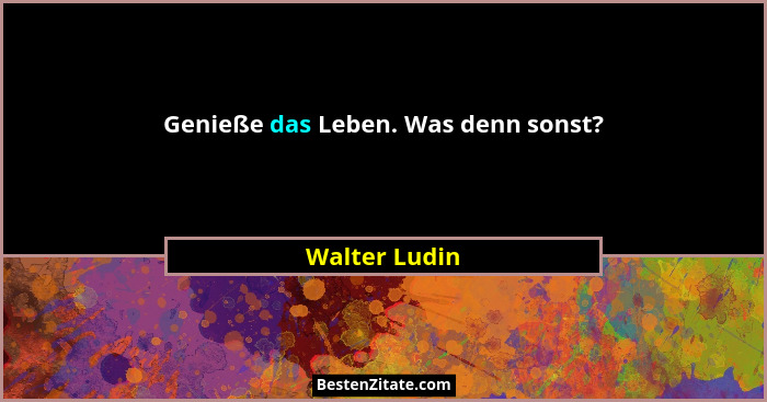 Genieße das Leben. Was denn sonst?... - Walter Ludin