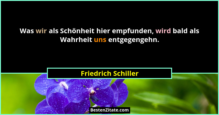 Was wir als Schönheit hier empfunden, wird bald als Wahrheit uns entgegengehn.... - Friedrich Schiller
