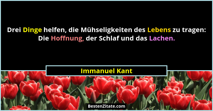 Drei Dinge helfen, die Mühseligkeiten des Lebens zu tragen: Die Hoffnung, der Schlaf und das Lachen.... - Immanuel Kant