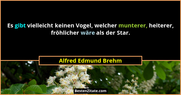 Es gibt vielleicht keinen Vogel, welcher munterer, heiterer, fröhlicher wäre als der Star.... - Alfred Edmund Brehm