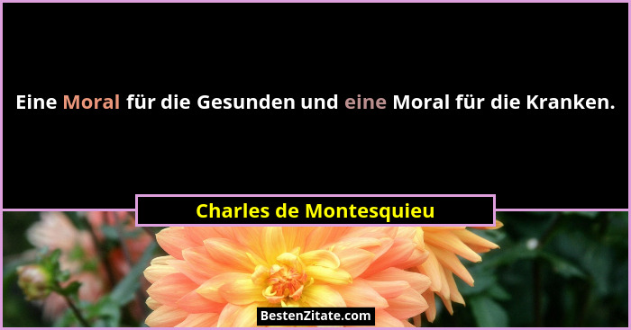 Eine Moral für die Gesunden und eine Moral für die Kranken.... - Charles de Montesquieu