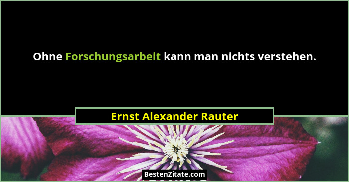 Ohne Forschungsarbeit kann man nichts verstehen.... - Ernst Alexander Rauter