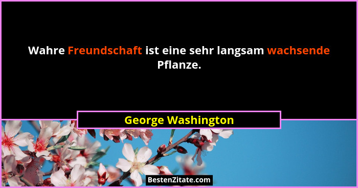 Wahre Freundschaft ist eine sehr langsam wachsende Pflanze.... - George Washington