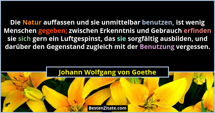 Die Natur auffassen und sie unmittelbar benutzen, ist wenig Menschen gegeben; zwischen Erkenntnis und Gebrauch erfinden s... - Johann Wolfgang von Goethe