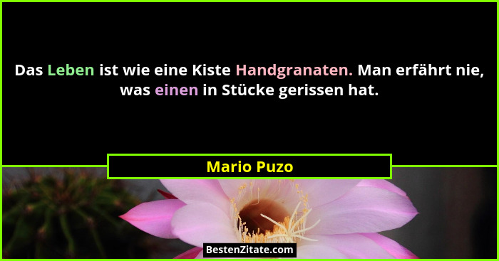Das Leben ist wie eine Kiste Handgranaten. Man erfährt nie, was einen in Stücke gerissen hat.... - Mario Puzo