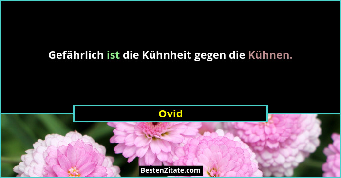 Gefährlich ist die Kühnheit gegen die Kühnen.... - Ovid