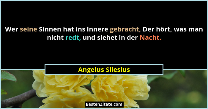 Wer seine Sinnen hat ins Innere gebracht, Der hört, was man nicht redt, und siehet in der Nacht.... - Angelus Silesius