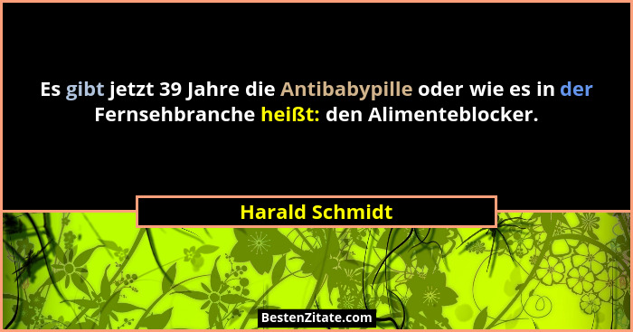 Es gibt jetzt 39 Jahre die Antibabypille oder wie es in der Fernsehbranche heißt: den Alimenteblocker.... - Harald Schmidt