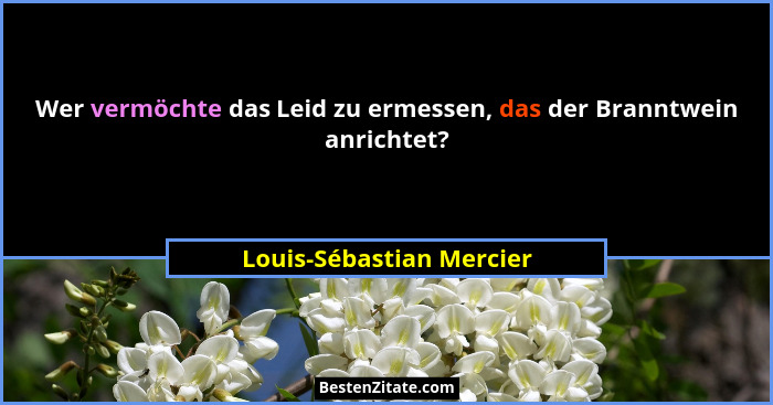 Wer vermöchte das Leid zu ermessen, das der Branntwein anrichtet?... - Louis-Sébastian Mercier