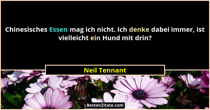 Chinesisches Essen mag ich nicht. Ich denke dabei immer, ist vielleicht ein Hund mit drin?... - Neil Tennant