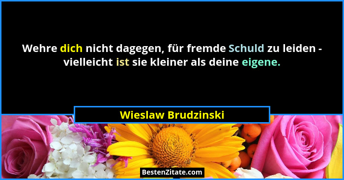 Wehre dich nicht dagegen, für fremde Schuld zu leiden - vielleicht ist sie kleiner als deine eigene.... - Wieslaw Brudzinski