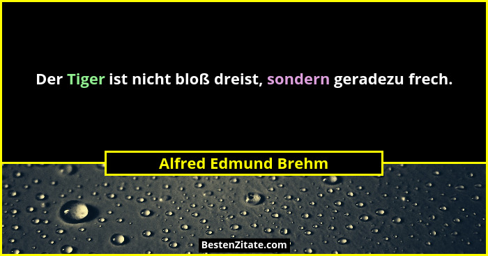 Der Tiger ist nicht bloß dreist, sondern geradezu frech.... - Alfred Edmund Brehm