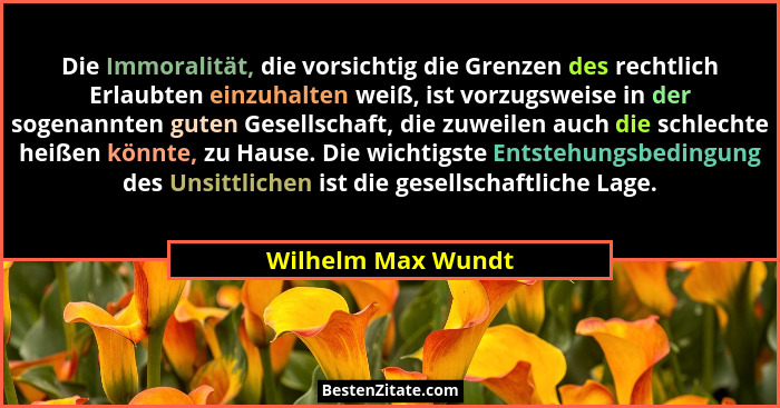 Die Immoralität, die vorsichtig die Grenzen des rechtlich Erlaubten einzuhalten weiß, ist vorzugsweise in der sogenannten guten Ge... - Wilhelm Max Wundt