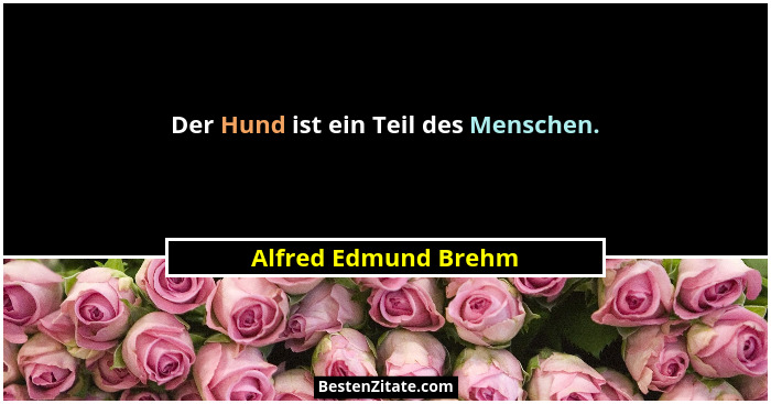 Der Hund ist ein Teil des Menschen.... - Alfred Edmund Brehm