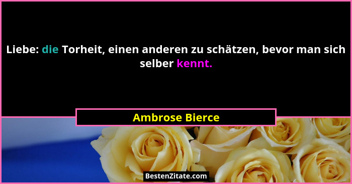Liebe: die Torheit, einen anderen zu schätzen, bevor man sich selber kennt.... - Ambrose Bierce