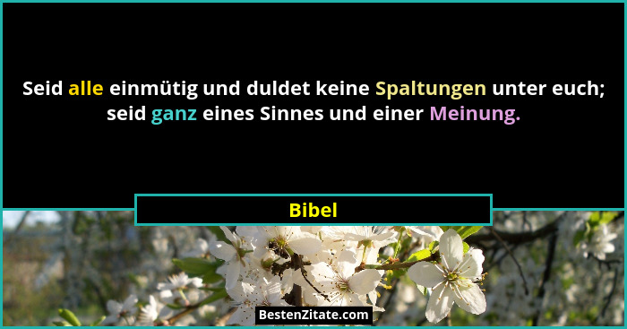 Seid alle einmütig und duldet keine Spaltungen unter euch; seid ganz eines Sinnes und einer Meinung.... - Bibel