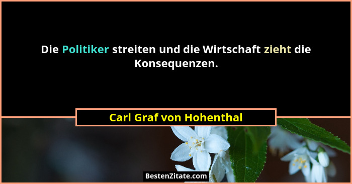 Die Politiker streiten und die Wirtschaft zieht die Konsequenzen.... - Carl Graf von Hohenthal