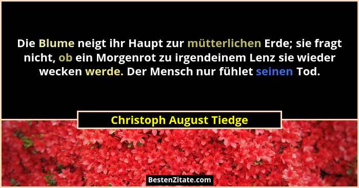 Die Blume neigt ihr Haupt zur mütterlichen Erde; sie fragt nicht, ob ein Morgenrot zu irgendeinem Lenz sie wieder wecken wer... - Christoph August Tiedge