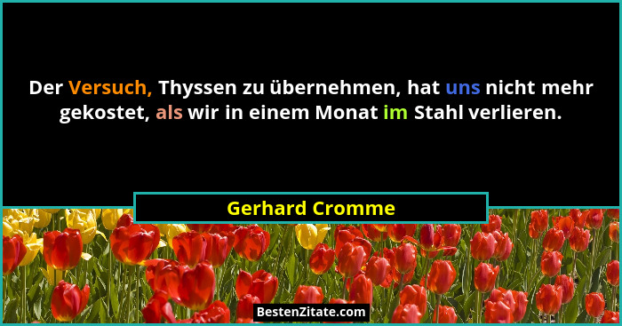Der Versuch, Thyssen zu übernehmen, hat uns nicht mehr gekostet, als wir in einem Monat im Stahl verlieren.... - Gerhard Cromme