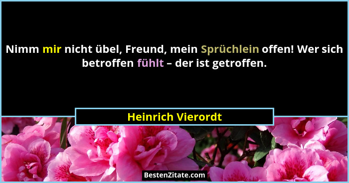 Nimm mir nicht übel, Freund, mein Sprüchlein offen! Wer sich betroffen fühlt – der ist getroffen.... - Heinrich Vierordt