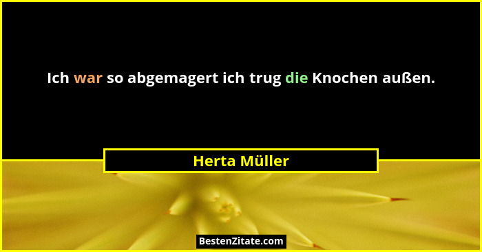 Ich war so abgemagert ich trug die Knochen außen.... - Herta Müller