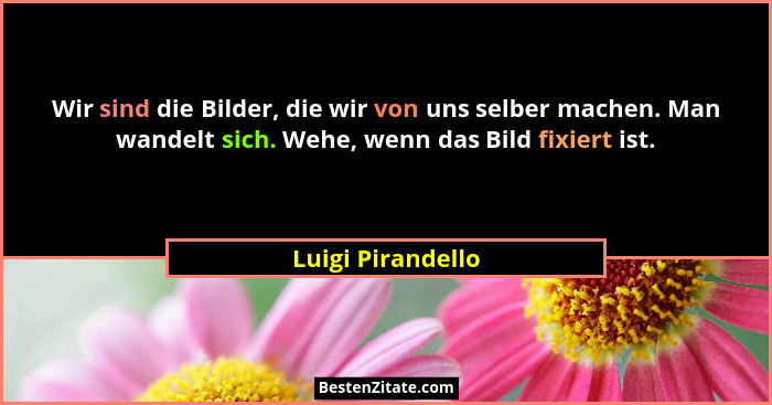 Wir sind die Bilder, die wir von uns selber machen. Man wandelt sich. Wehe, wenn das Bild fixiert ist.... - Luigi Pirandello