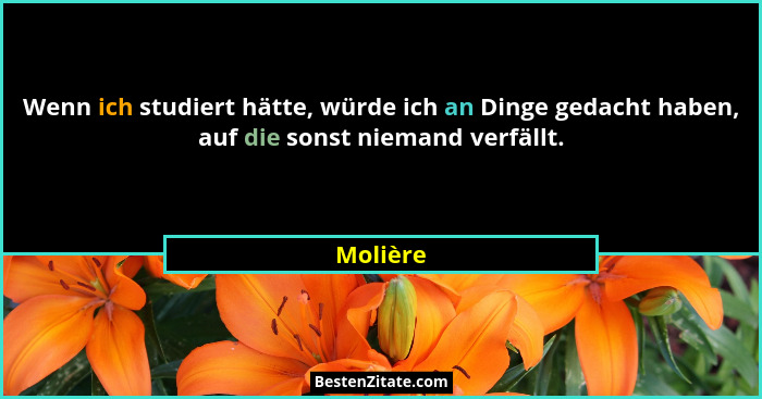 Wenn ich studiert hätte, würde ich an Dinge gedacht haben, auf die sonst niemand verfällt.... - Molière
