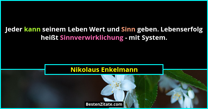 Jeder kann seinem Leben Wert und Sinn geben. Lebenserfolg heißt Sinnverwirklichung - mit System.... - Nikolaus Enkelmann