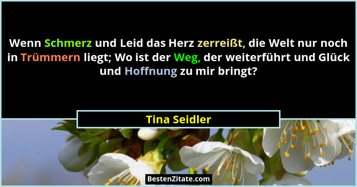 Wenn Schmerz und Leid das Herz zerreißt, die Welt nur noch in Trümmern liegt; Wo ist der Weg, der weiterführt und Glück und Hoffnung zu... - Tina Seidler