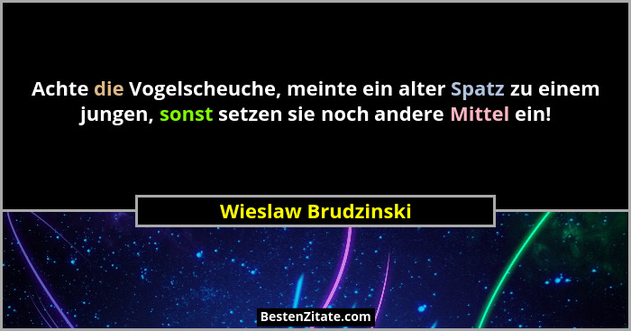Achte die Vogelscheuche, meinte ein alter Spatz zu einem jungen, sonst setzen sie noch andere Mittel ein!... - Wieslaw Brudzinski