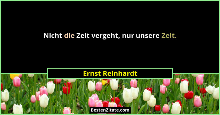 Nicht die Zeit vergeht, nur unsere Zeit.... - Ernst Reinhardt