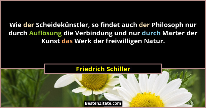 Wie der Scheidekünstler, so findet auch der Philosoph nur durch Auflösung die Verbindung und nur durch Marter der Kunst das Werk... - Friedrich Schiller