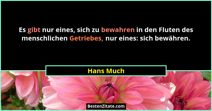 Es gibt nur eines, sich zu bewahren in den Fluten des menschlichen Getriebes, nur eines: sich bewähren.... - Hans Much