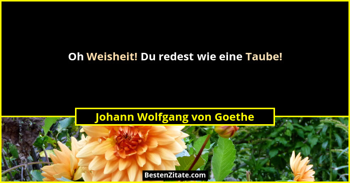 Oh Weisheit! Du redest wie eine Taube!... - Johann Wolfgang von Goethe