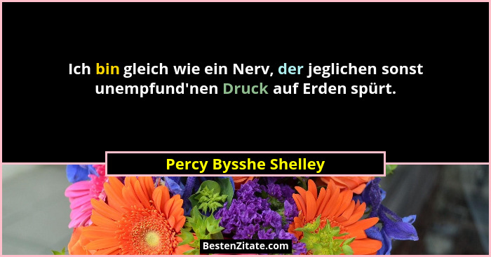 Ich bin gleich wie ein Nerv, der jeglichen sonst unempfund'nen Druck auf Erden spürt.... - Percy Bysshe Shelley