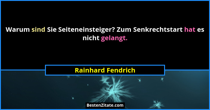 Warum sind Sie Seiteneinsteiger? Zum Senkrechtstart hat es nicht gelangt.... - Rainhard Fendrich