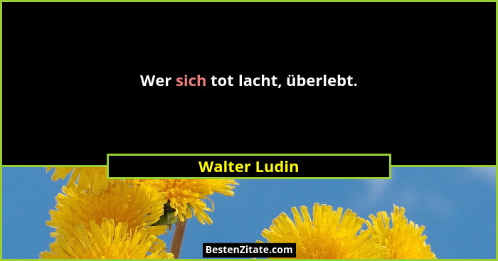 Wer sich tot lacht, überlebt.... - Walter Ludin