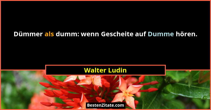 Dümmer als dumm: wenn Gescheite auf Dumme hören.... - Walter Ludin