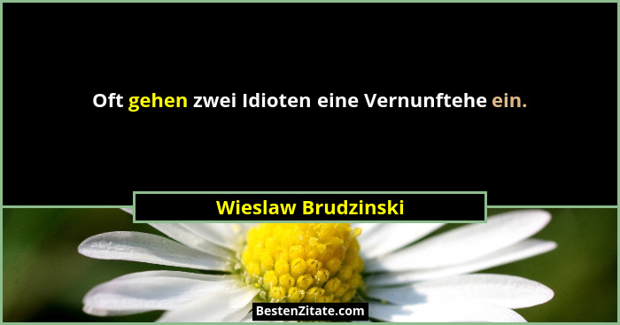 Oft gehen zwei Idioten eine Vernunftehe ein.... - Wieslaw Brudzinski